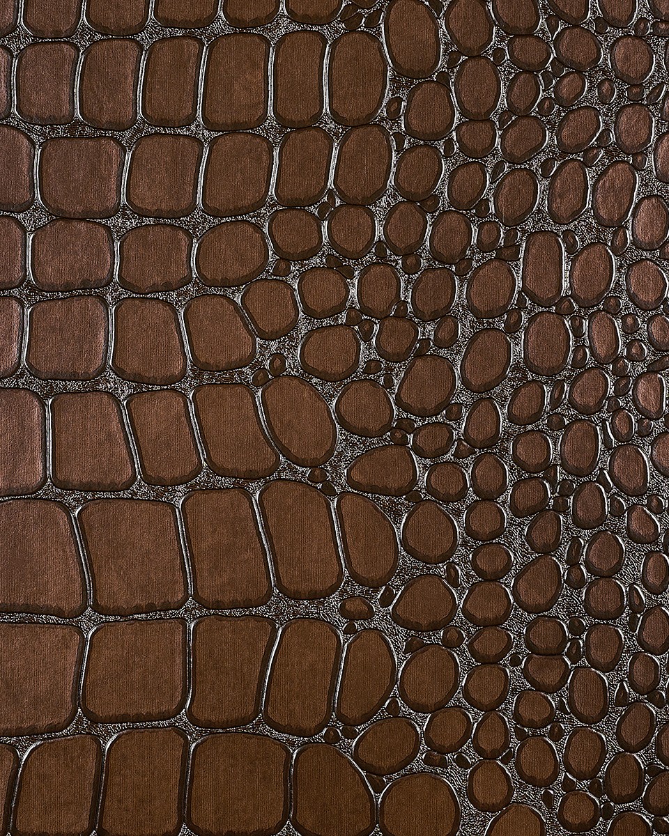 10217