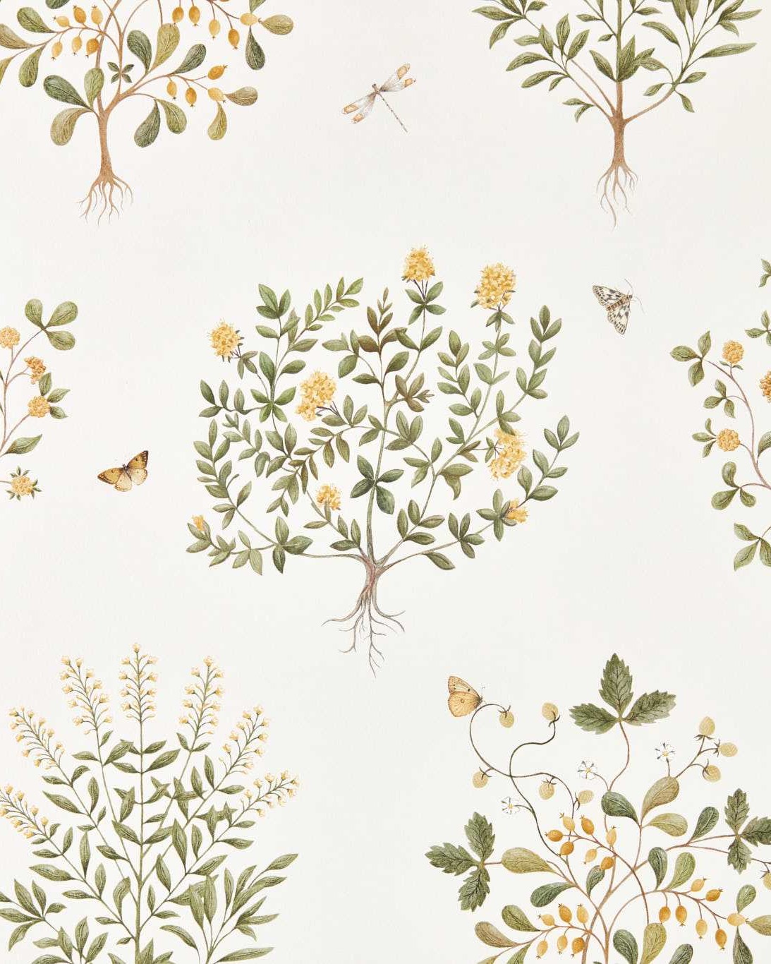 Sanderson Thyme Walk Wallpaper 217508