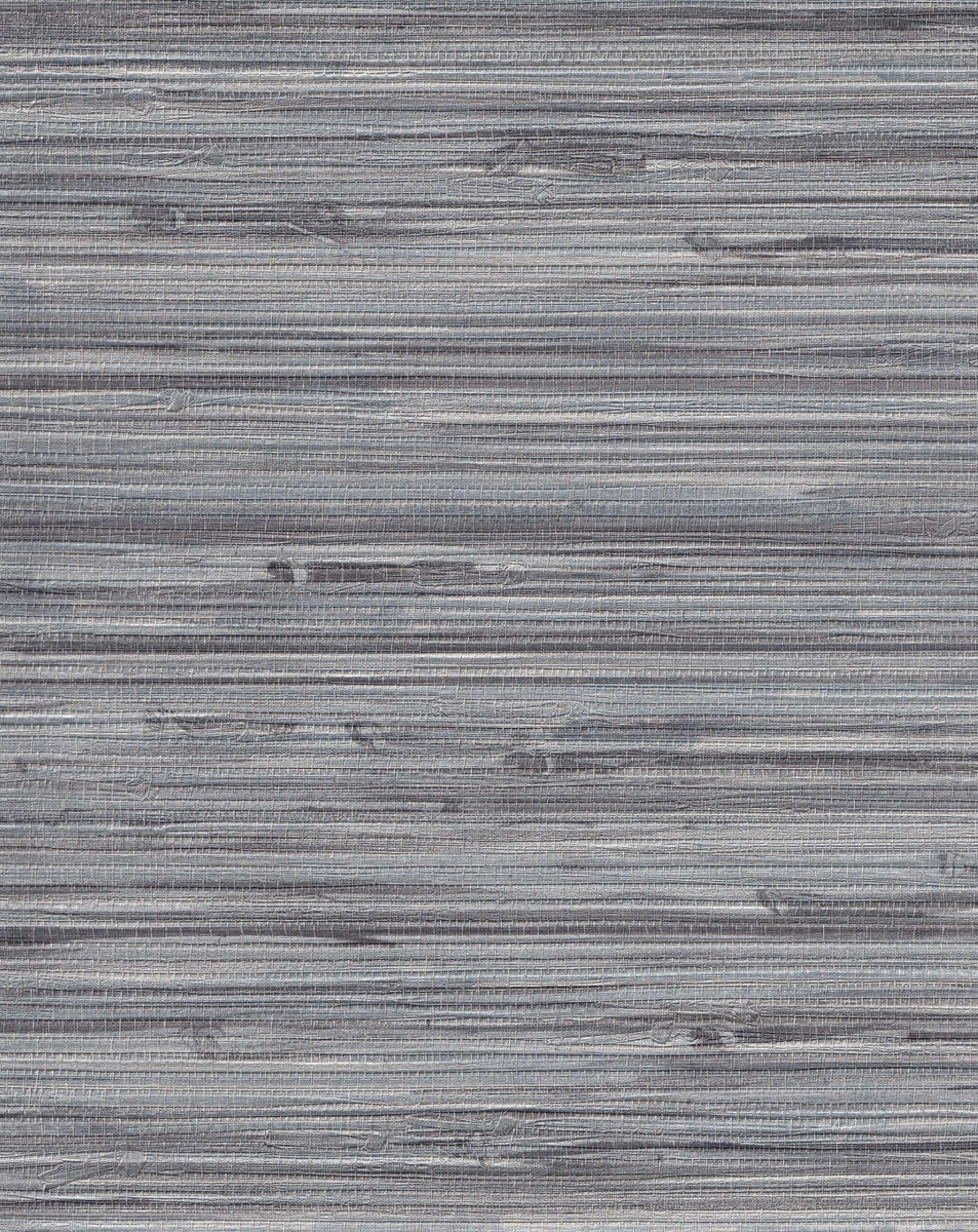 BAL16530