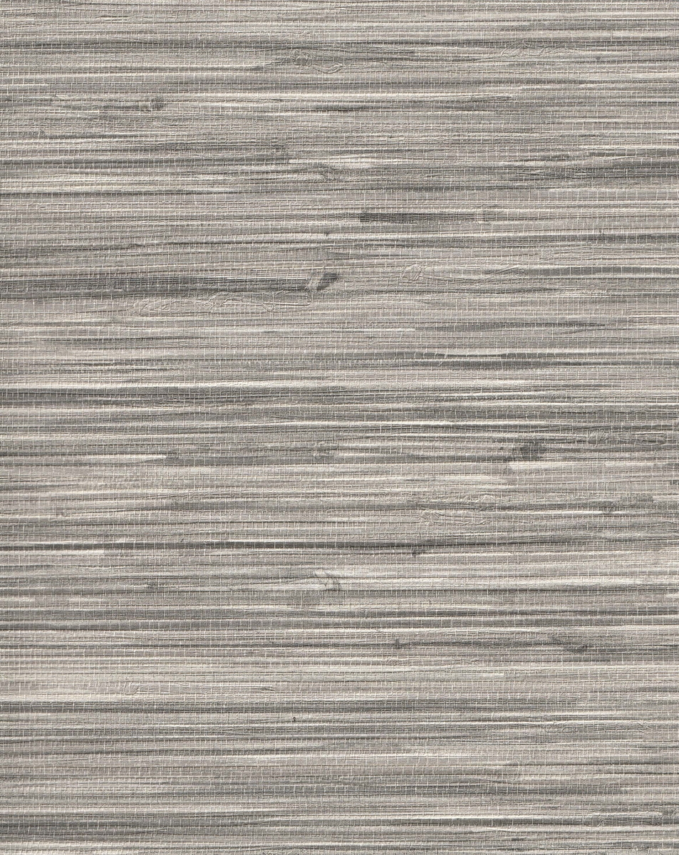 BAL16540