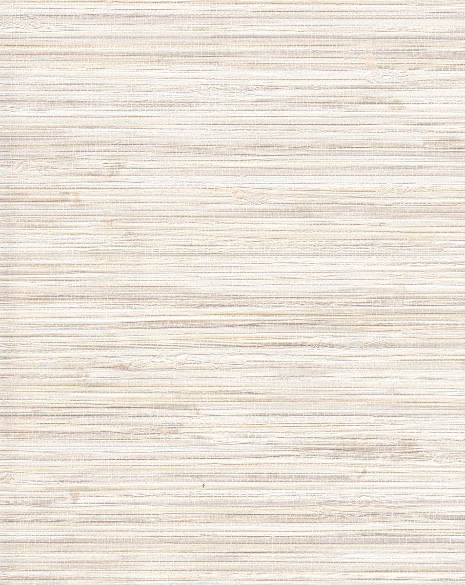 BAL16547