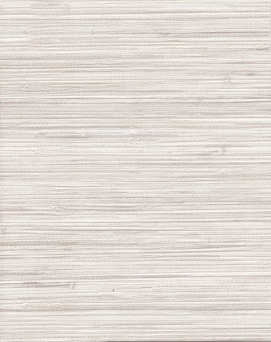 BAL16551