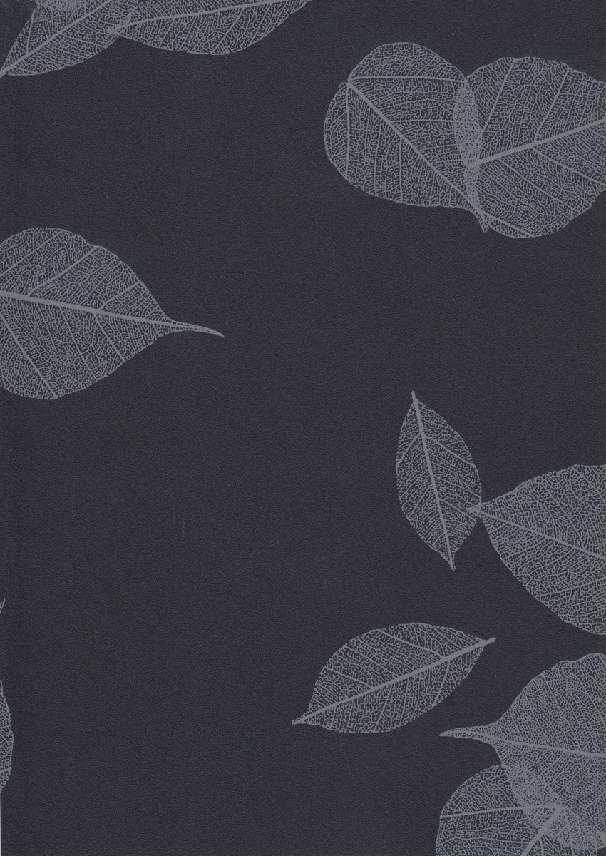 Tektura Bodhi Wallcovering BOD1239