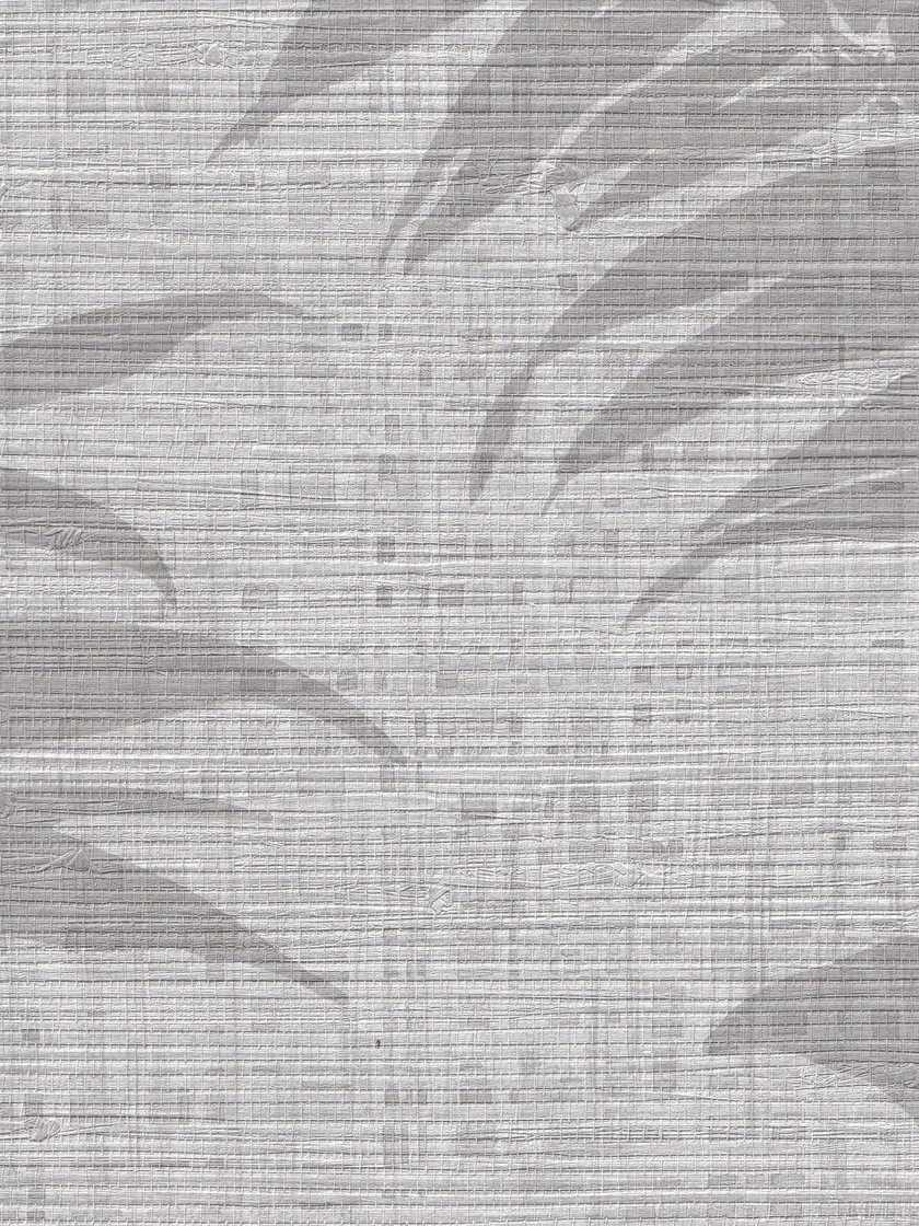 BOTBW55800