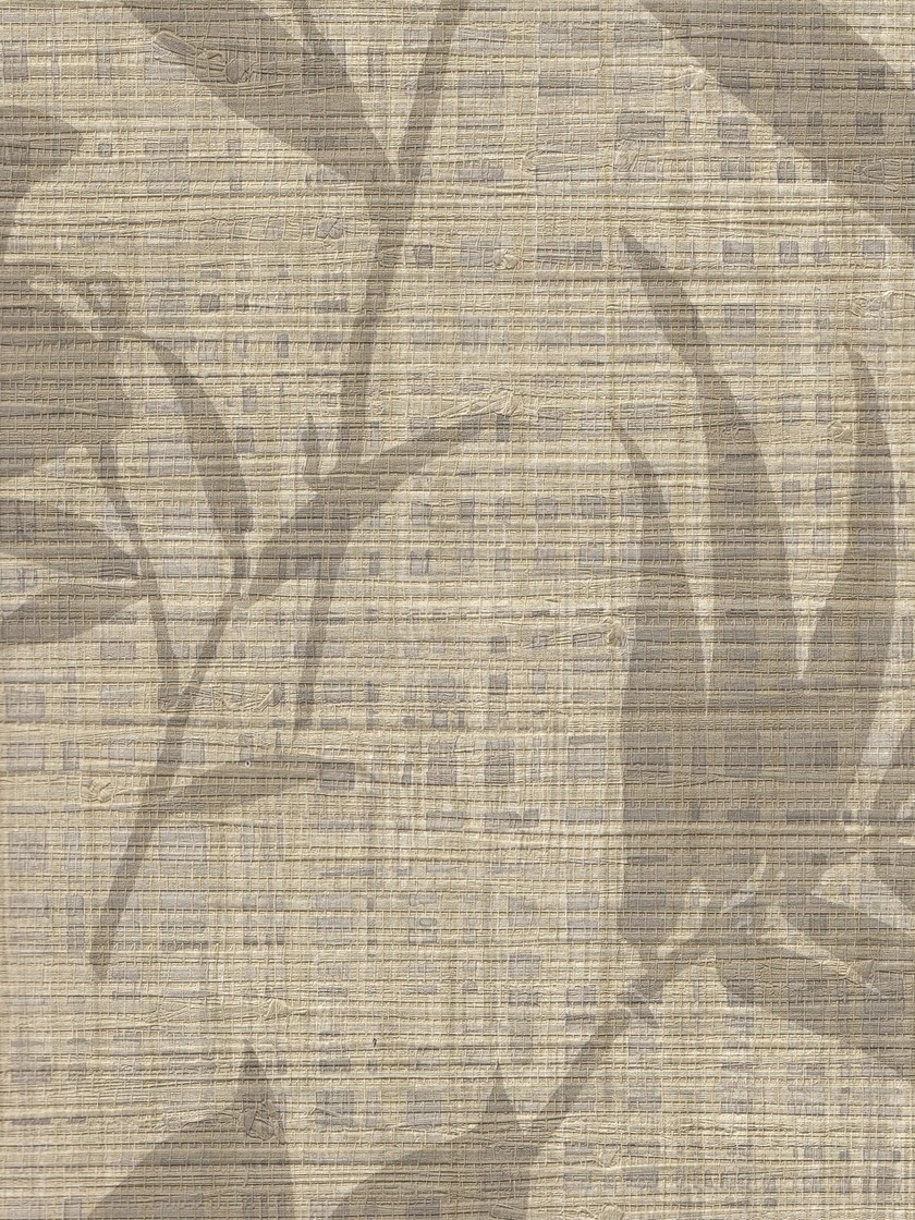BOTBW55806