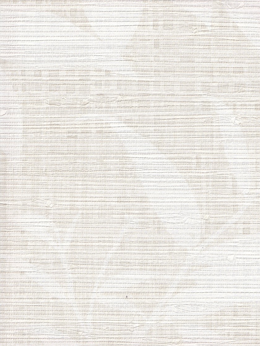 Tektura Botanical Grassweave BOTBW55807 Wallcovering