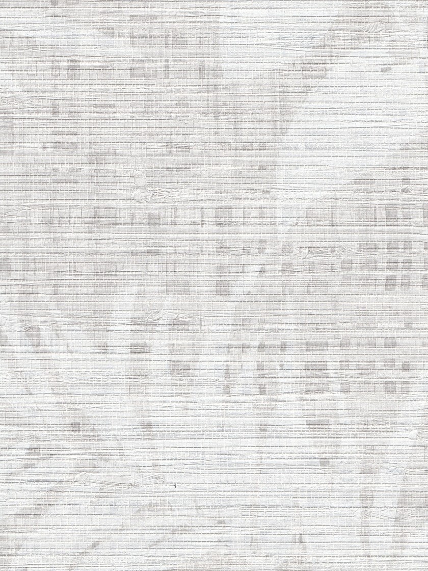 BOTBW55808