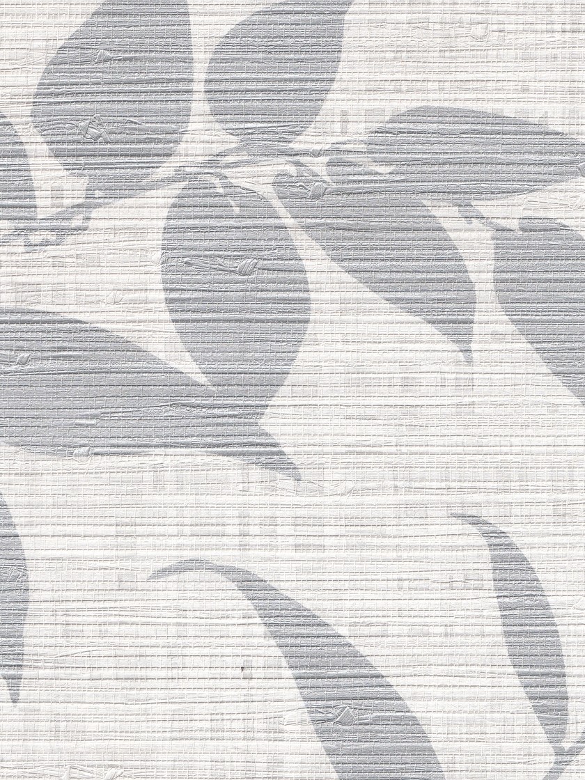 BOTBW55810