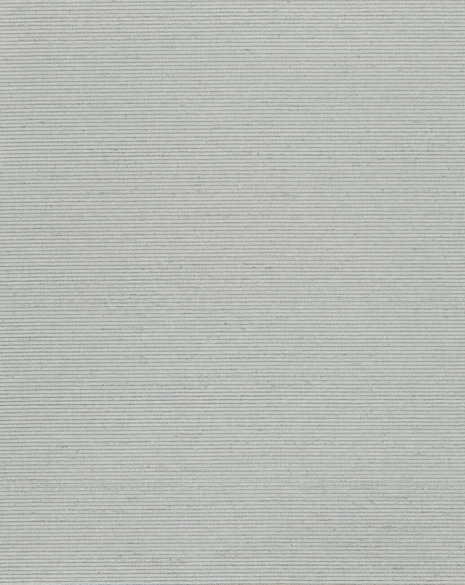 T2MS02