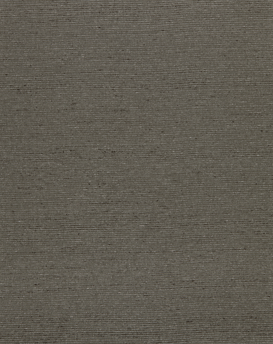 T2MS04