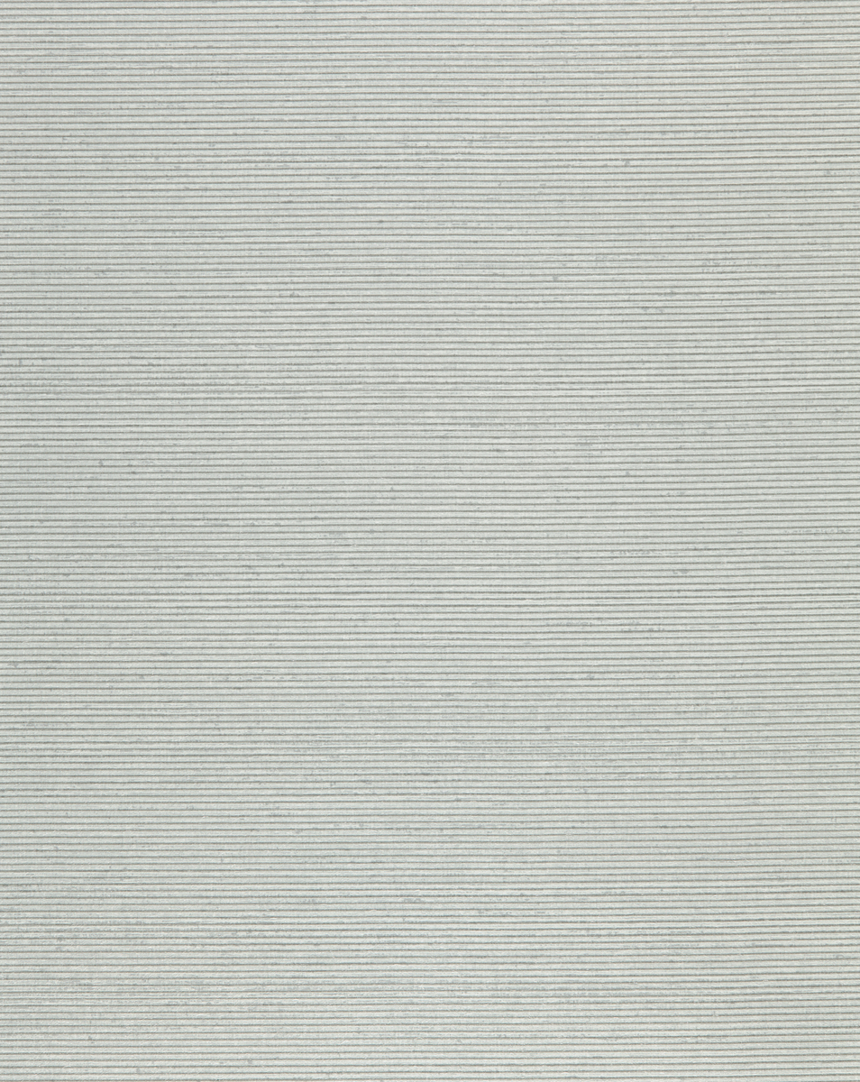 T2MS06