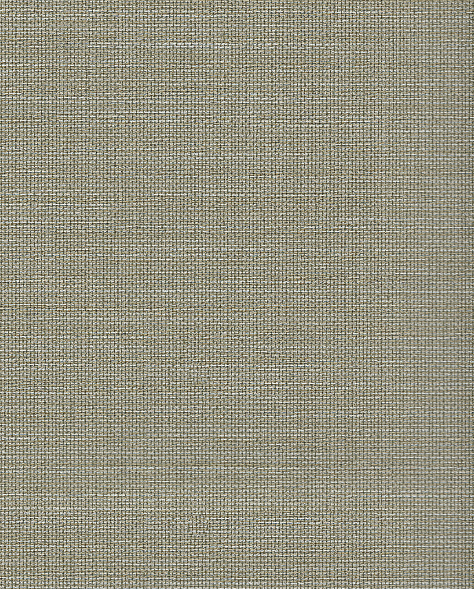 PAN1321