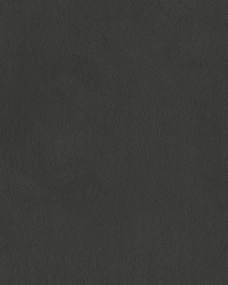 Tektura Plaster Piece Wallcovering PLAP 53932