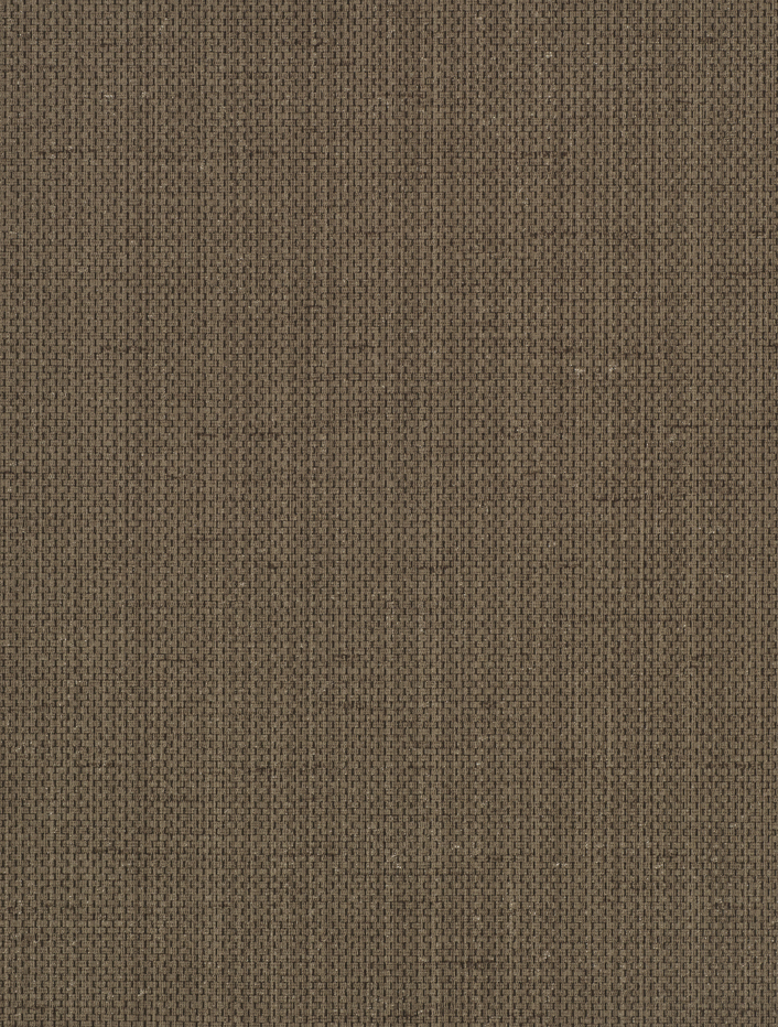 46219