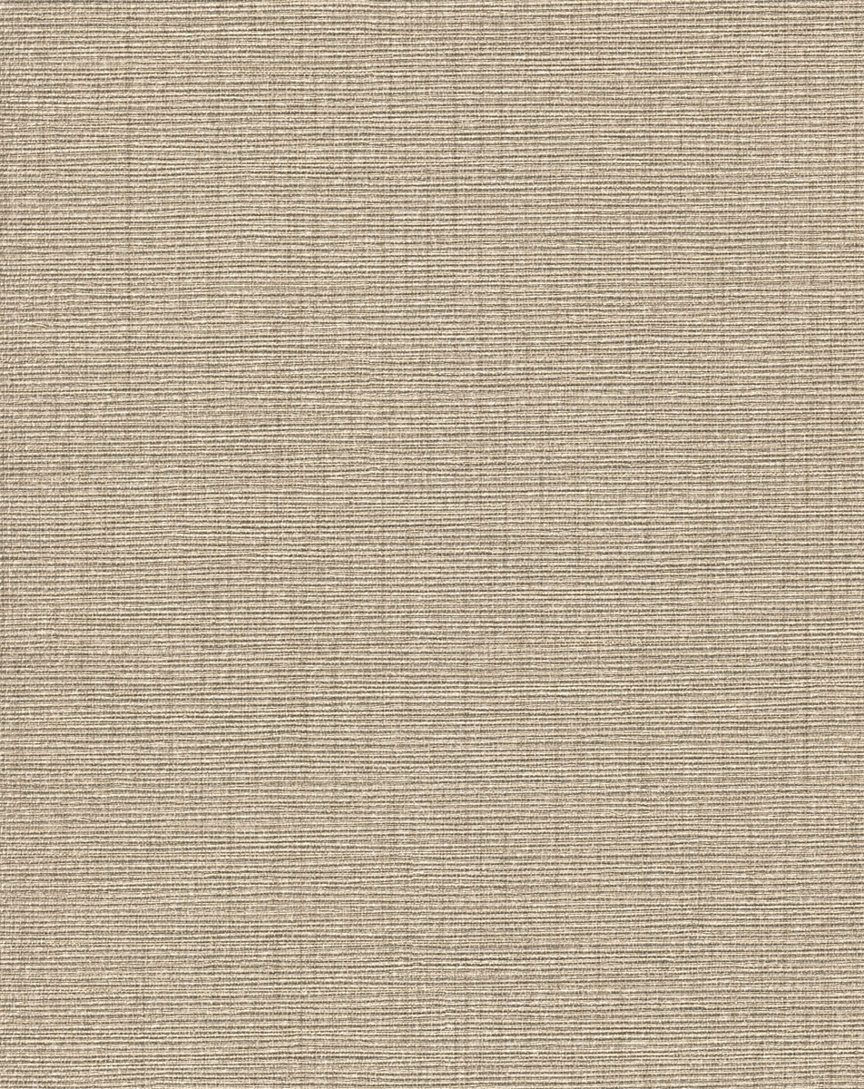 TAI52355