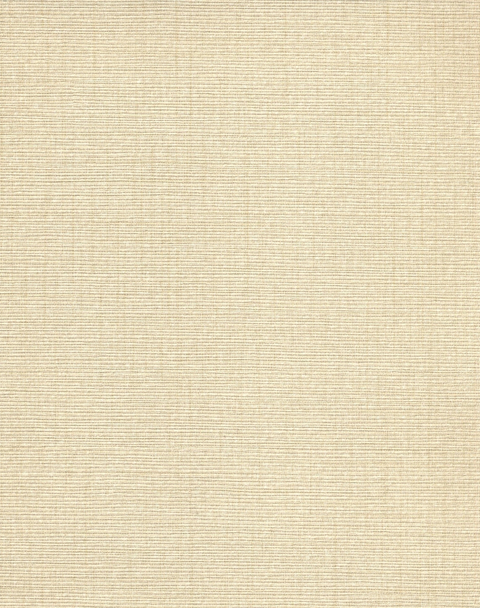 TAI52358