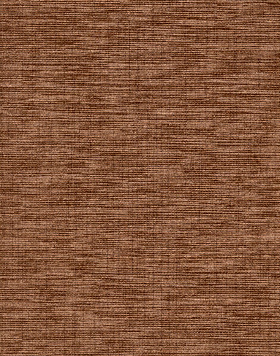TAI52365
