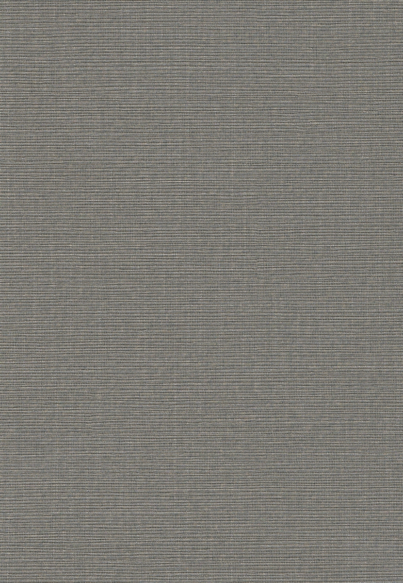 TAI52863