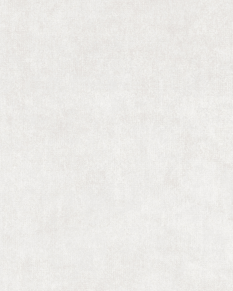 BBVL04