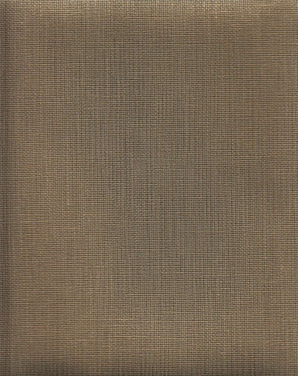 tektura-wallcovering-metallix-w2lx17.jpg