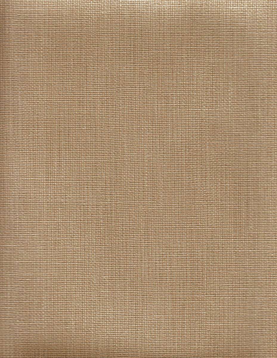 tektura-wallcovering-metallix-w2lx19.jpg