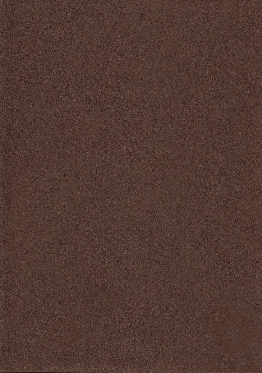 sue53195