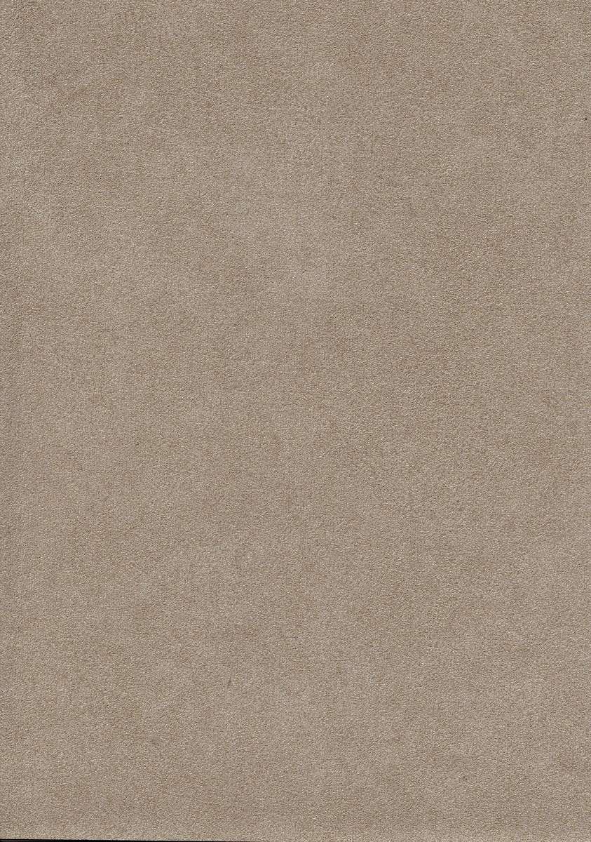 tektura-wallcovering-suede-53200.jpg