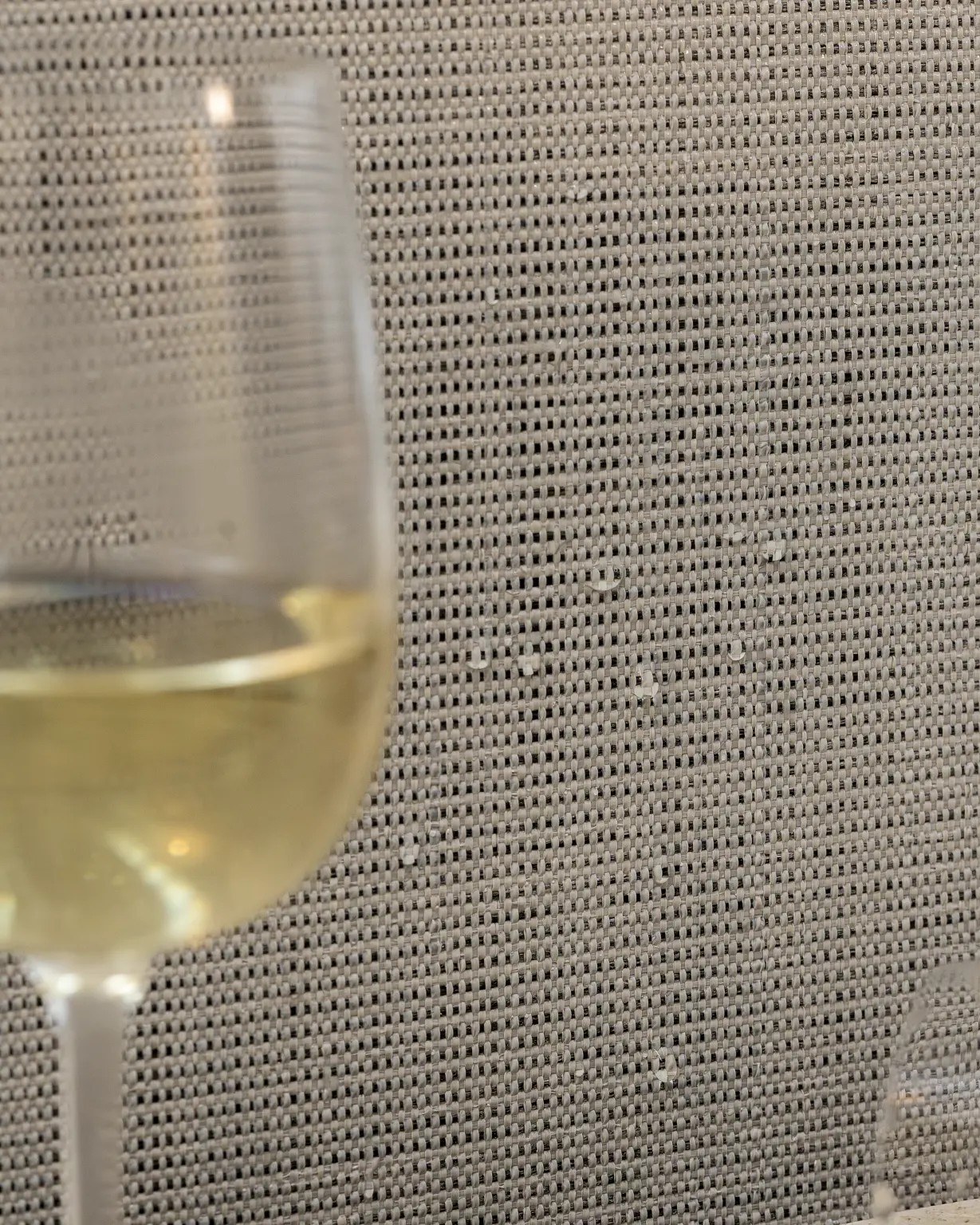 Vescom Birch Wallcoverings