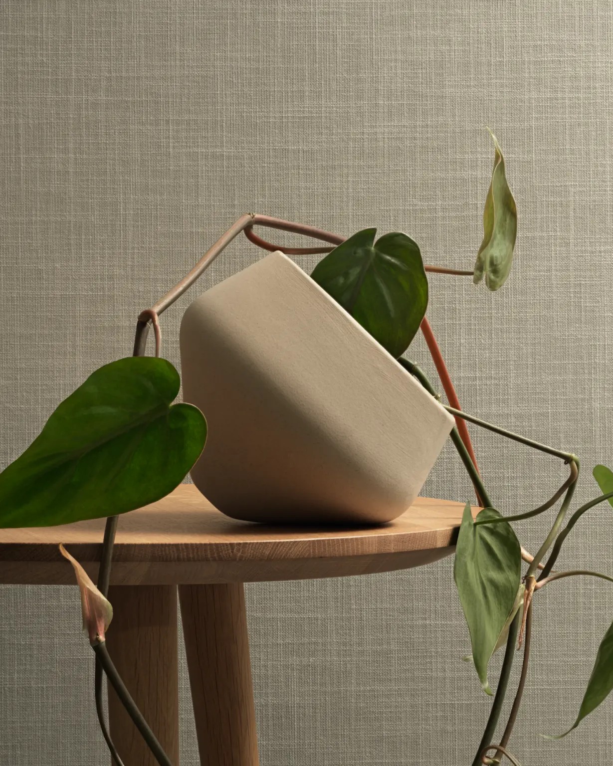 Vescom Calma Wallcoverings