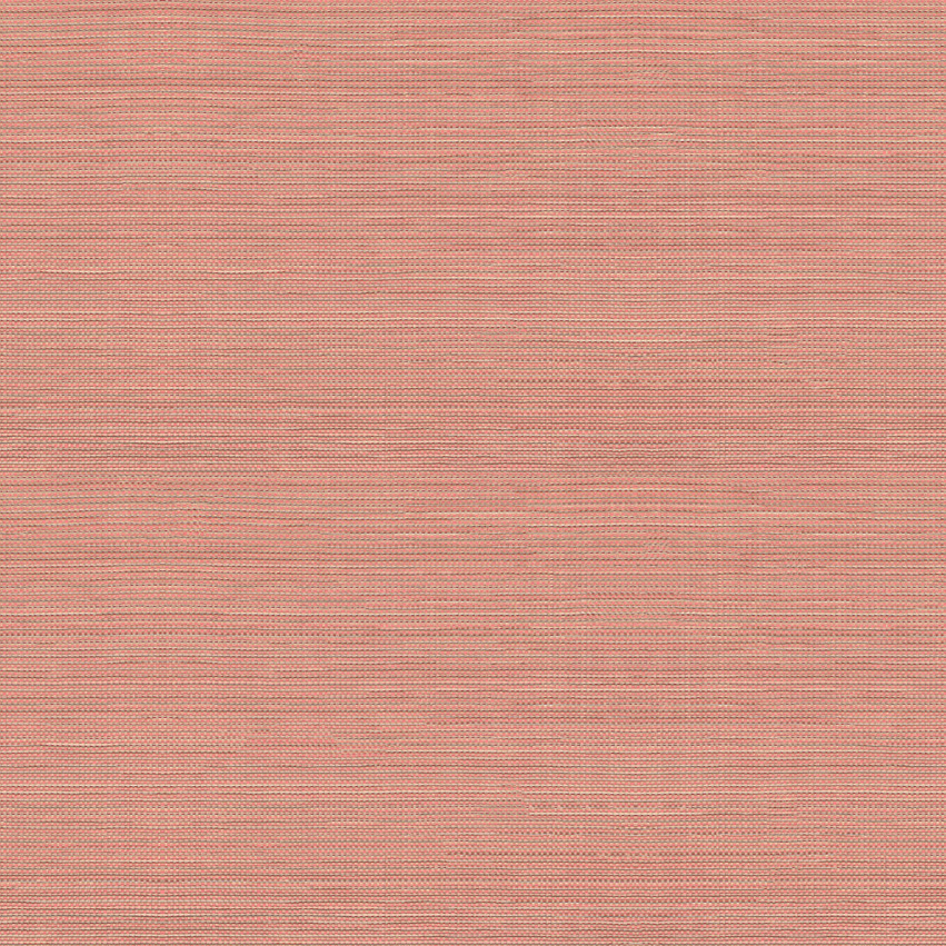 2551.04