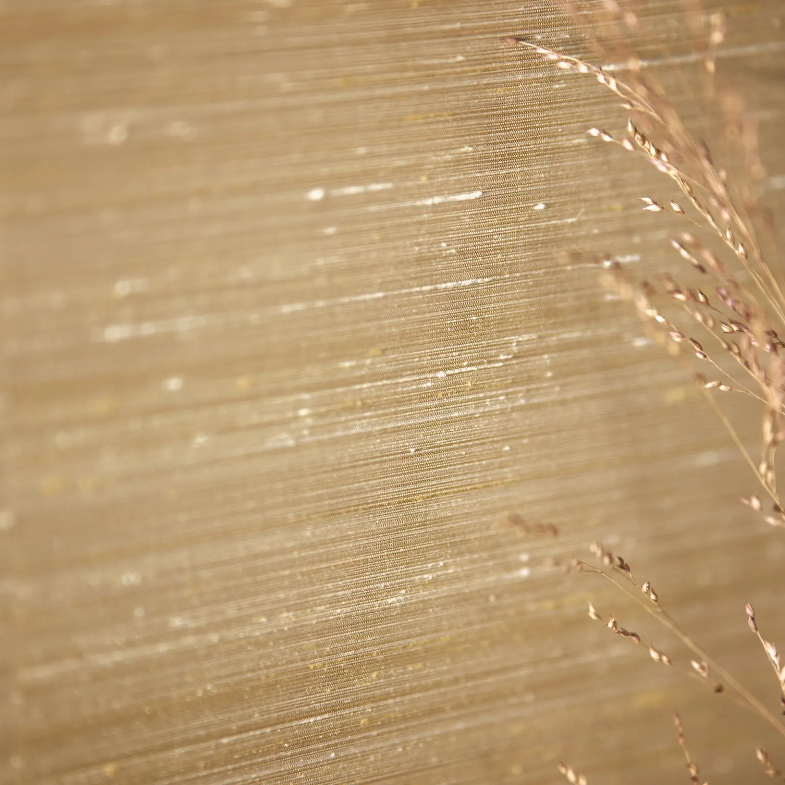 Vescom Ilesha Wallcoverings