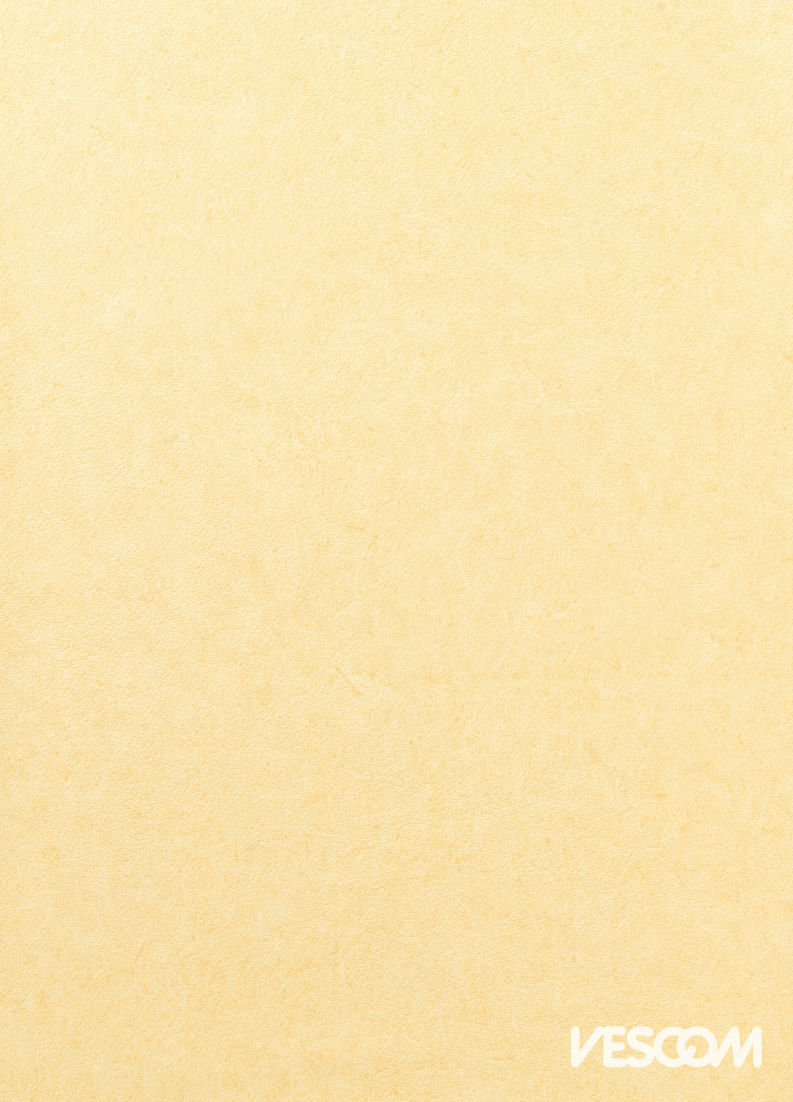 Vescom Pleso Wallcovering 1026.01