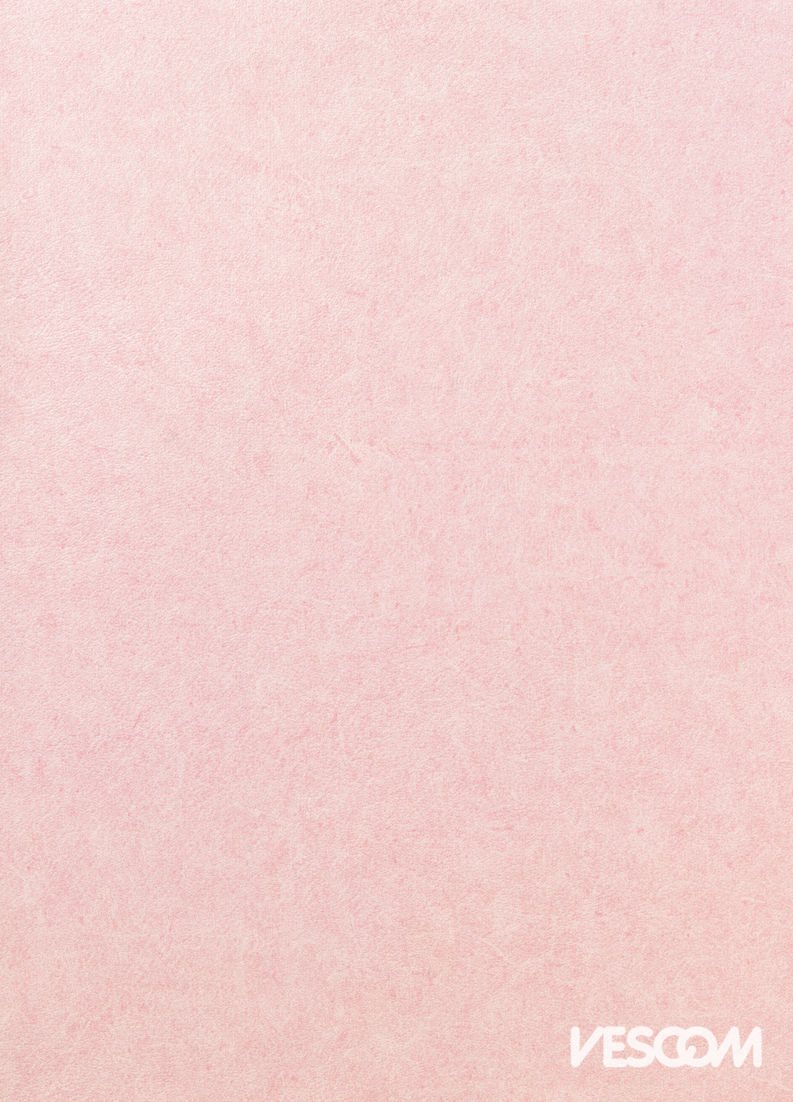 Vescom Pleso Wallcovering 1026.04