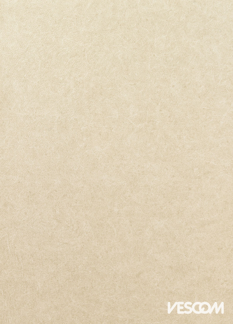 Vescom Pleso Wallcovering 1026.05