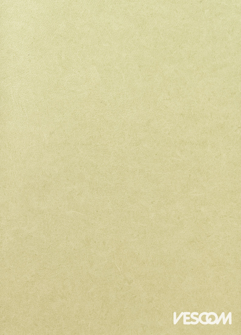 Vescom Pleso Wallcovering 1026.24